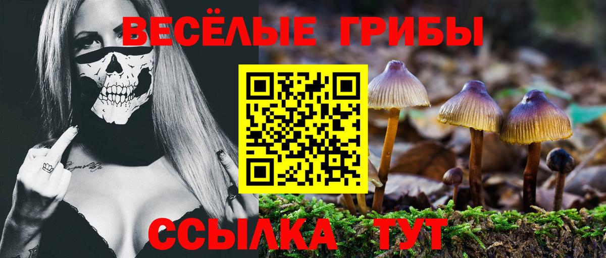 Галлюциногенные грибы мухоморы Кизилюрт