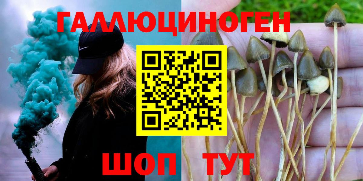Псилоцибиновые грибы ЛСД  Галлюциногенные грибы Psilocybe  Кизилюрт  Вход с VPN 
